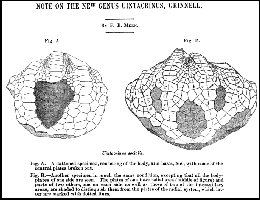 Meek1876a.jpg (20066 bytes)