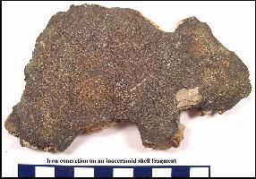 concretb.jpg (18329 bytes)