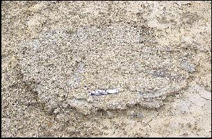 platinua.jpg (29099 bytes)