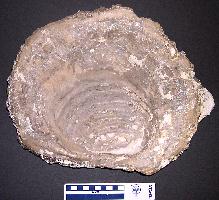 v_grandb.jpg (13185 bytes)