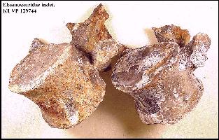 129744a.jpg (20796 bytes)