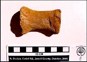 Codell Ples01a.jpg (15055 bytes)
