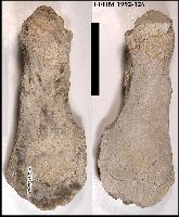 FFHM 92-125Ba.jpg (11274 bytes)