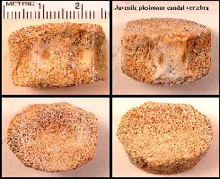 SmokyHill02a.jpg (20784 bytes)