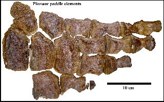 VP 13997a.jpg (23024 bytes)