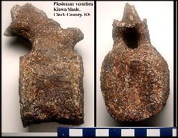 kiowabsa.jpg (18708 bytes)