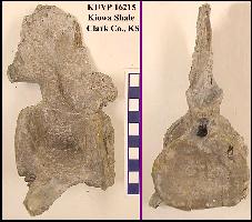 ku16215c.jpg (12430 bytes)