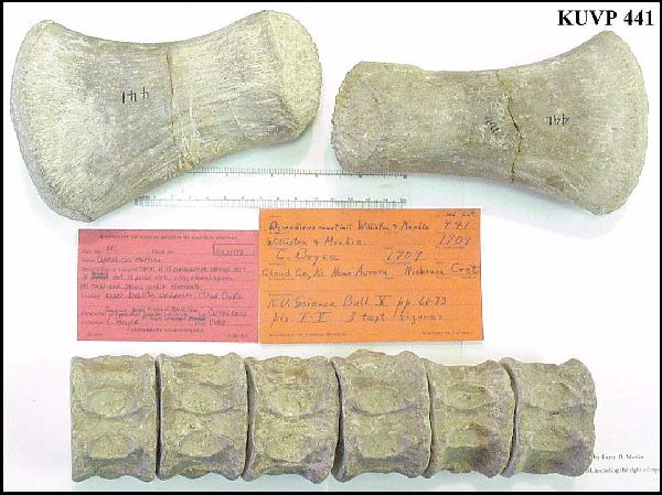 kuvp441b.jpg (62275 bytes)