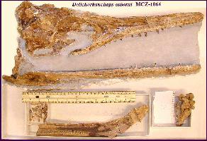 mcz1064a.jpg (17687 bytes)