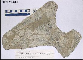 vp-2984a.jpg (15731 bytes)