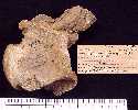 asnm9232.jpg (3434 bytes)