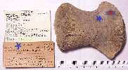 asnm9450.jpg (4807 bytes)