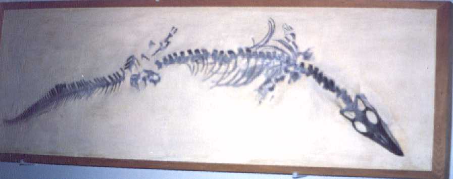 s-clid1.jpg (22963 bytes)