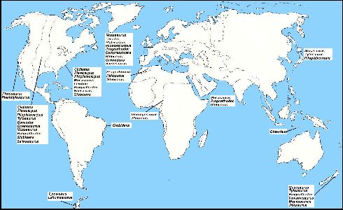 Mosasuars Distribution - Source - http://www.oceansofkansas.com/RapidMosa.html