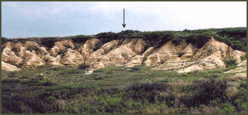 sitemap.jpg (52734 bytes)