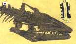 vp2116ba.jpg (3214 bytes)