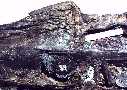 tylo7a.jpg (4329 bytes)