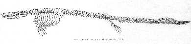 cvelox0a.jpg (4847 bytes)