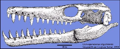 gorono1a.jpg (41182 bytes)