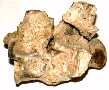 jones02a.jpg (2830 bytes)