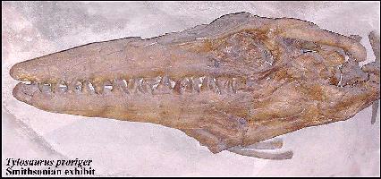 smith-ta.jpg (25397 bytes)