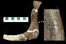 ndbitea.jpg (2904 bytes)