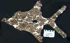 ndfrntla.jpg (3185 bytes)