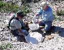 xfish6a.jpg (5462 bytes)