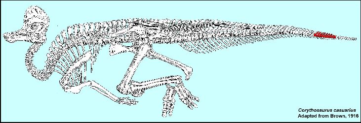 brown2a.jpg (48436 bytes)