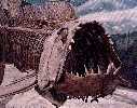 xiphac2a.jpg (4164 bytes)