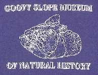 shirt02a.jpg (7753 bytes)