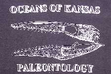 shirt04a.jpg (9485 bytes)