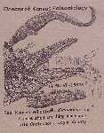 shirt15a.jpg (4707 bytes)