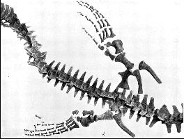 PlateXXII-Aa.jpg (14801 bytes)