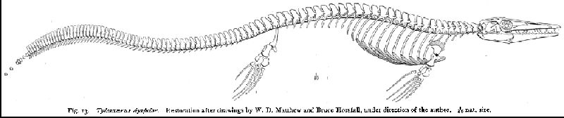fig13a.jpg (25258 bytes)