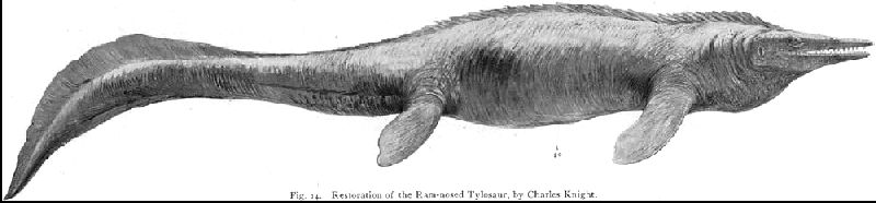 fig14a.jpg (25559 bytes)