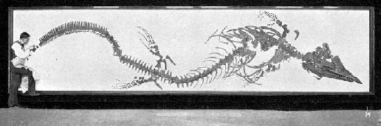 fig1a.jpg (26306 bytes)