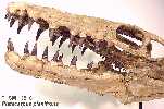 !plan08a.jpg (4520 bytes)