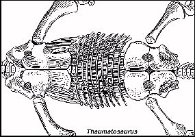 GASTRAI4.jpg (25025 bytes)