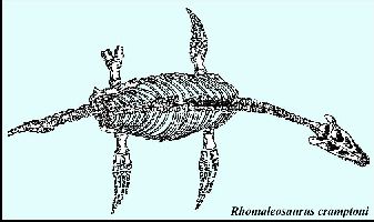 JurPlesia.jpg (15319 bytes)