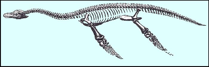 OWEN1860D.jpg (28580 bytes)