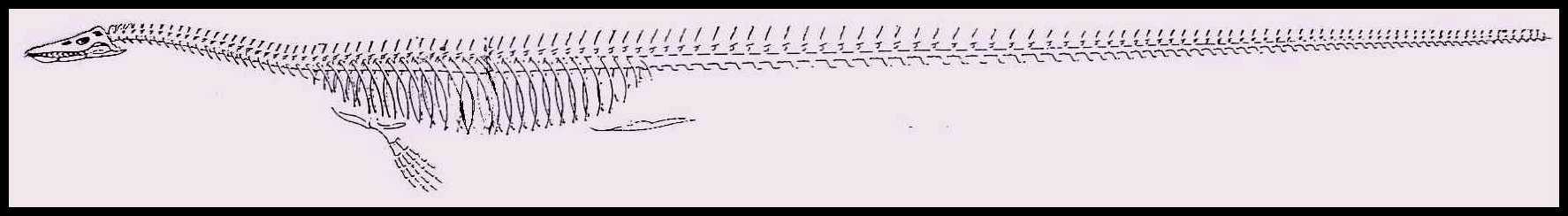 wrong2.jpg (43703 bytes)