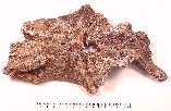 frontalb.jpg (4175 bytes)