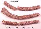ribs1a.jpg (3747 bytes)