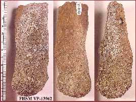 vp13962a.jpg (15006 bytes)
