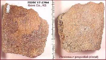 vp13964a.jpg (18173 bytes)