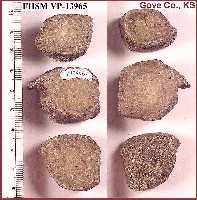 vp13965a.jpg (10318 bytes)