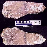 9468-1a.jpg (10432 bytes)