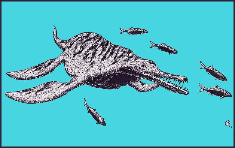 dolicho4.jpg (47284 bytes)