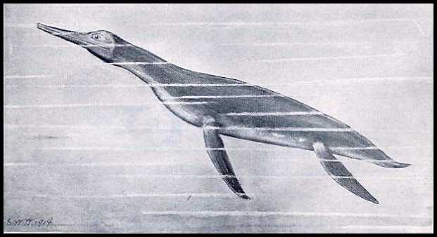 swwtrin.jpg (25021 bytes)